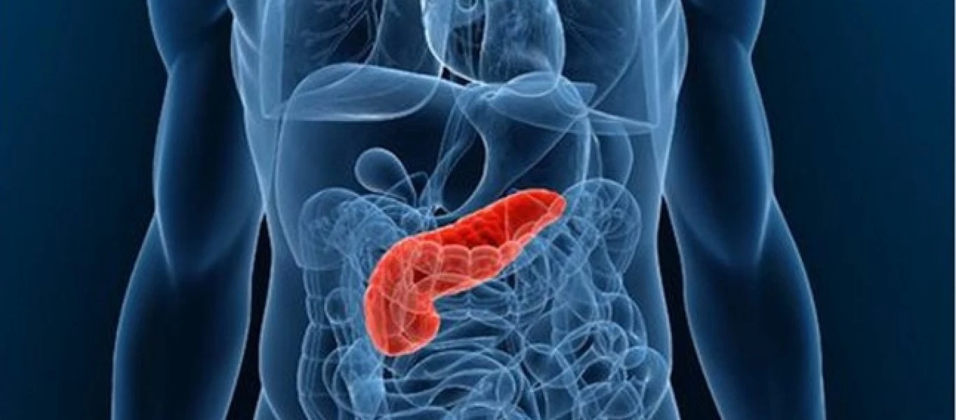 Πάγκρεας: Με αυτές τις τροφές θα το αποτοξινώσετε